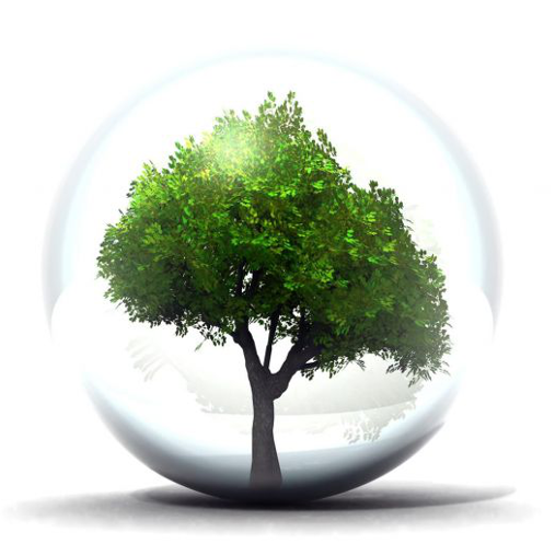 ассенизаторские услуги